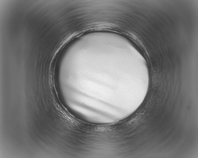 X0000052980835200508051039