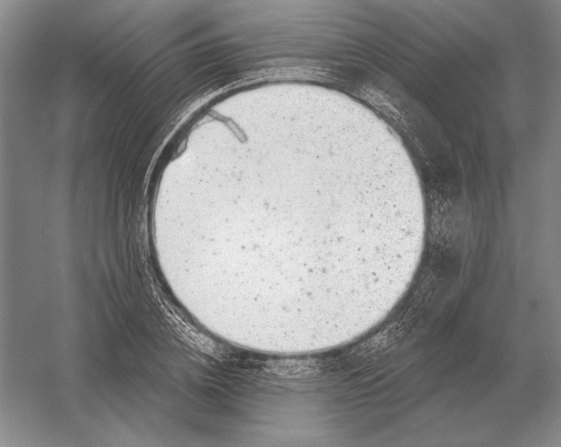 X0000052980836200508051039