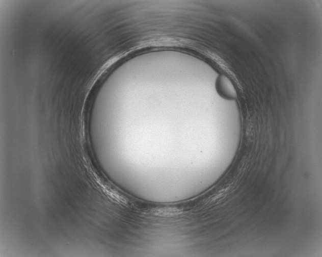 X0000052980837200508051039