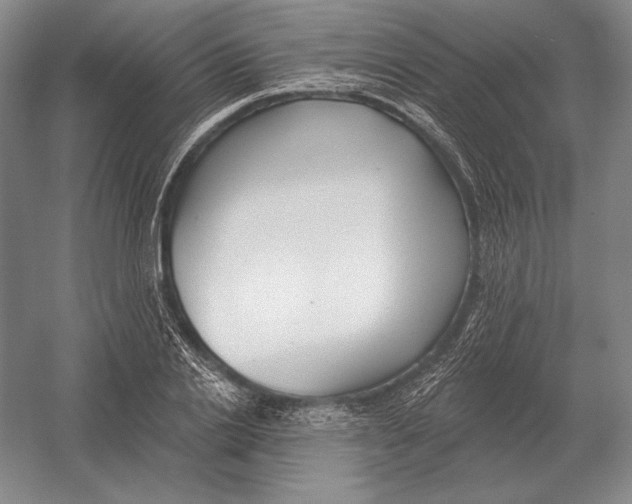 X0000052980838200508051039