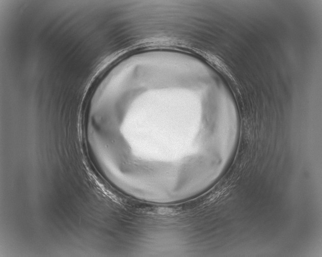 X0000052980839200508051039