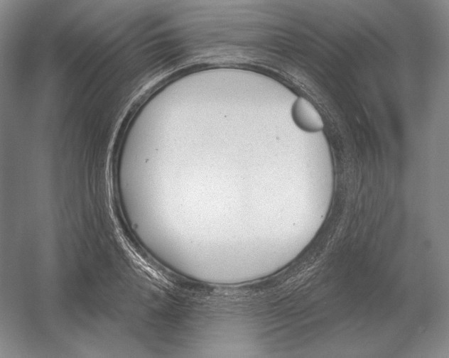 X0000052980840200508051039