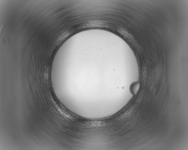 X0000052980841200508051039