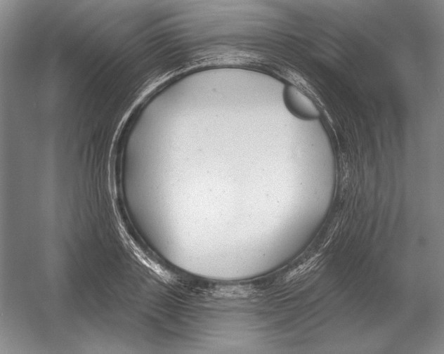 X0000052980843200508051039