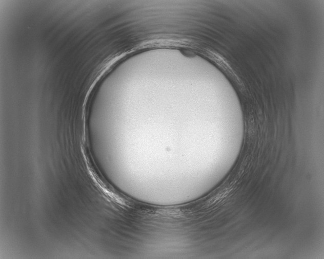 X0000052980844200508051039