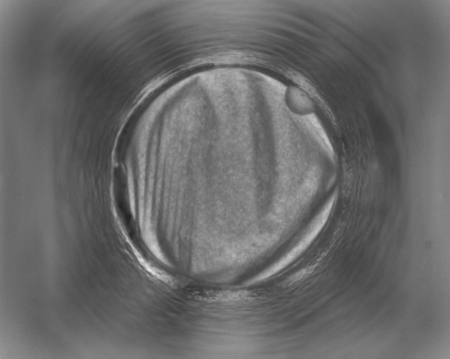 X0000052980845200508051039