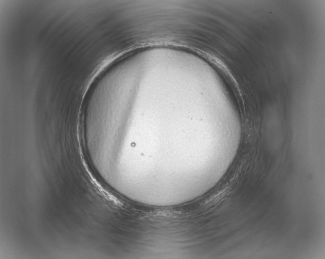 X0000052980847200508051039