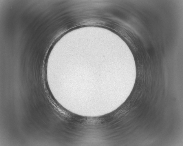 X0000052980848200508051039