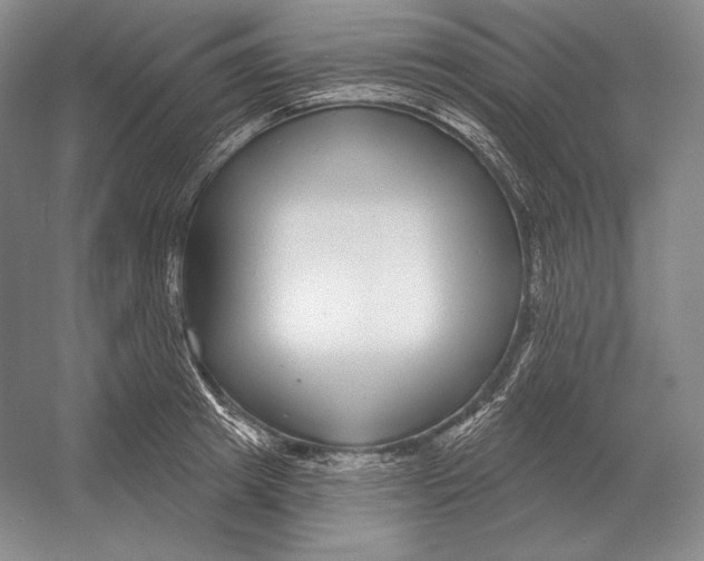 X0000052980849200508051039