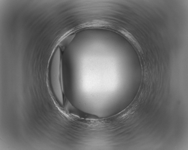 X0000052980850200508051039