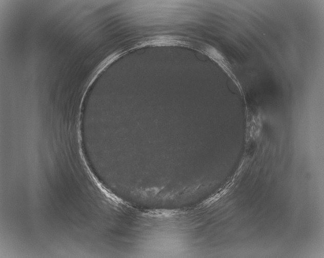 X0000052980853200508051039