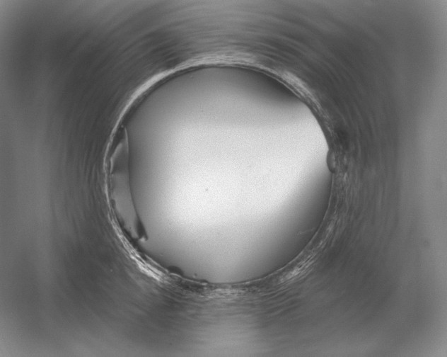 X0000052980854200508051039