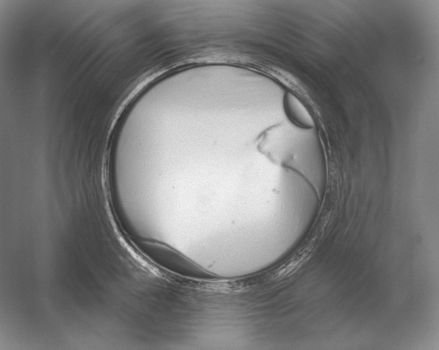 X0000052980855200508051039