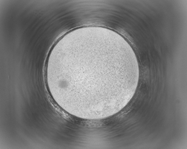 X0000052980856200508051039