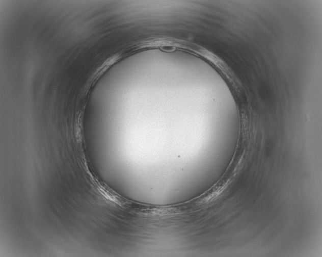 X0000052980857200508051039