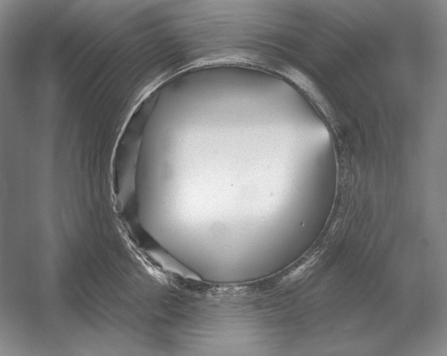 X0000052980858200508051039