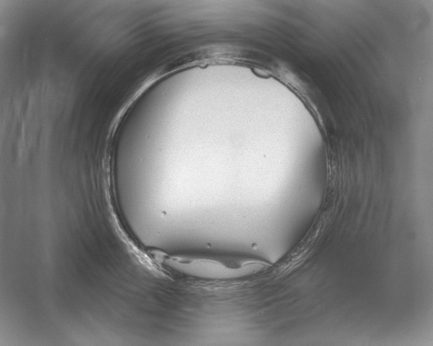 X0000052980859200508051039