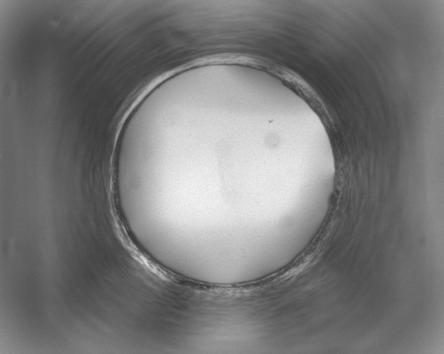 X0000052980860200508051039