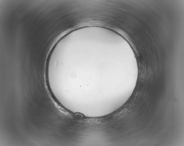 X0000052980861200508051039