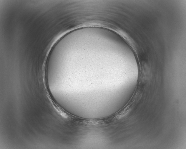 X0000052980862200508051039