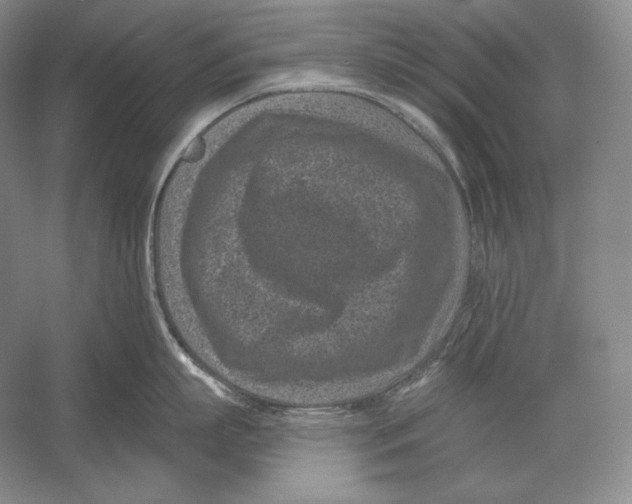 X0000052980863200508051039