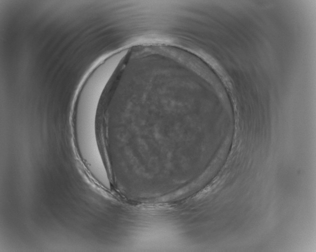 X0000052980864200508051039