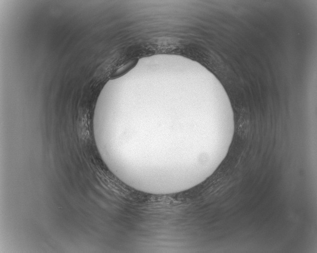 X0000052980866200508051038