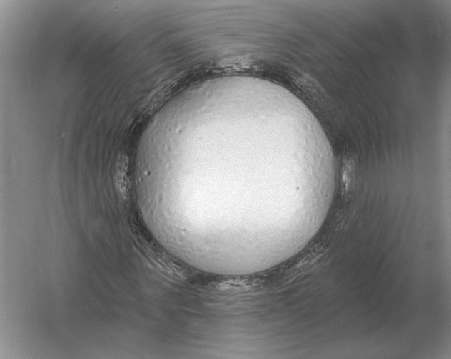 X0000052980867200508051038