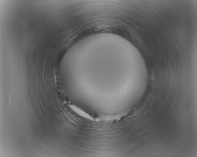 X0000052980868200508051038