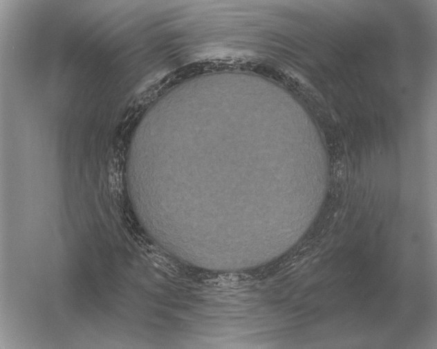 X0000052980869200508051038