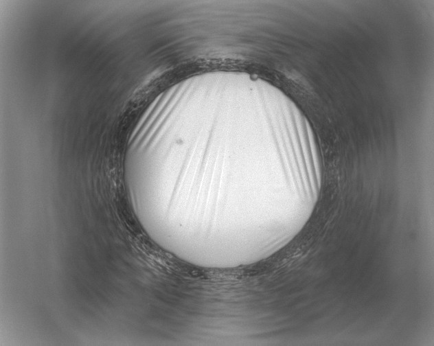 X0000052980870200508051038