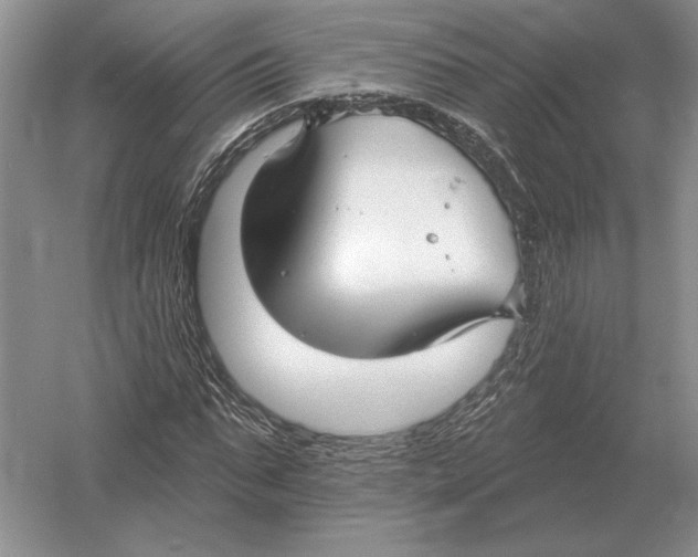 X0000052980871200508051038