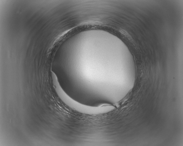 X0000052980872200508051038