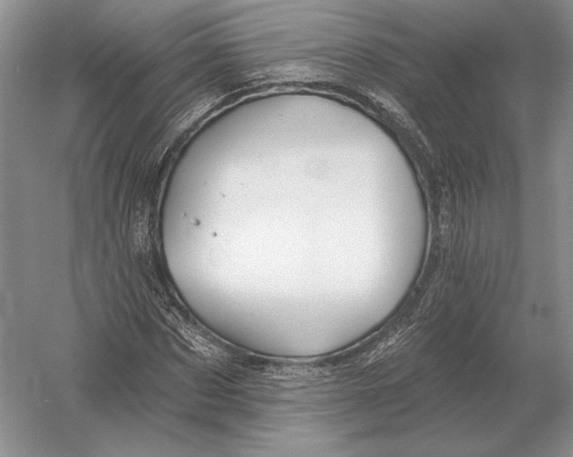 X0000052980873200508051038