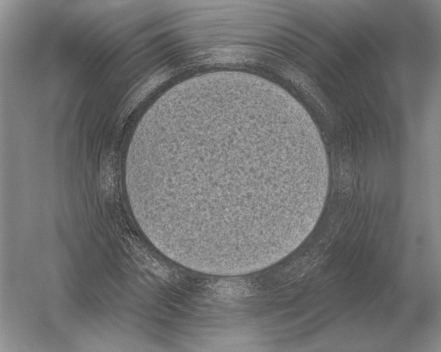 X0000052980874200508051038