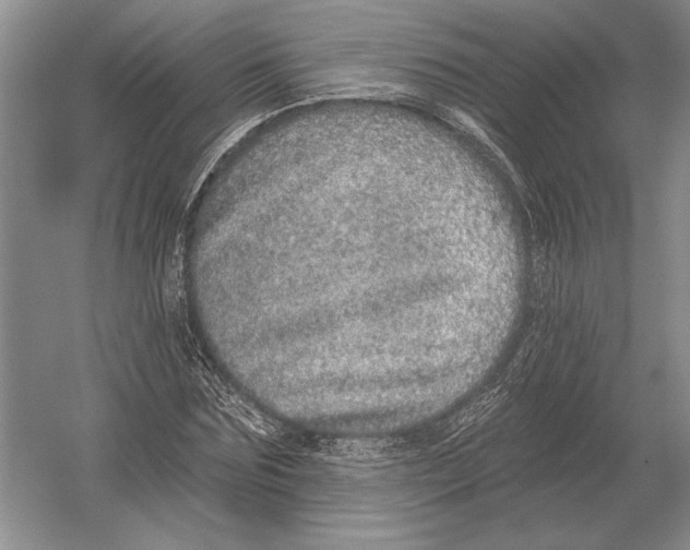 X0000052980875200508051038