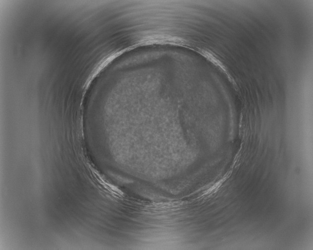 X0000052980877200508051038