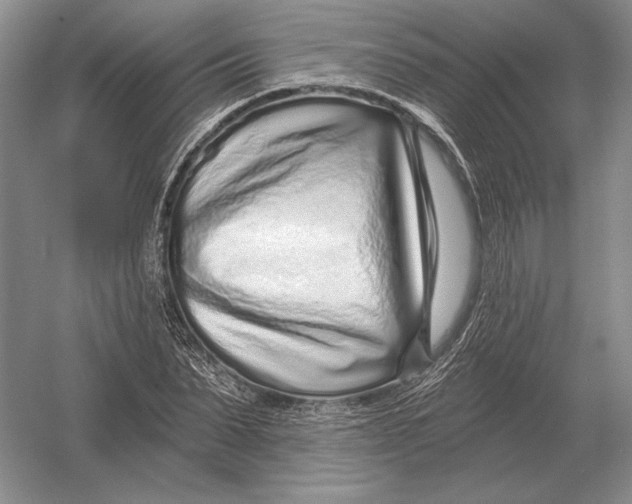 X0000052980879200508051038