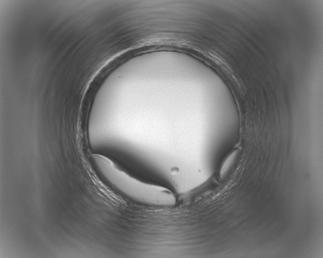 X0000052980880200508051038