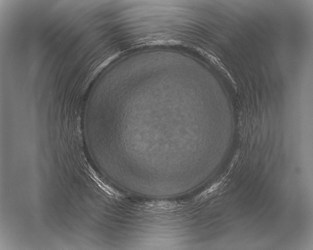 X0000052980881200508051038