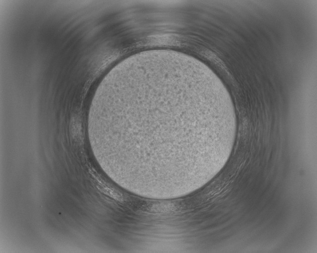 X0000052980882200508051038