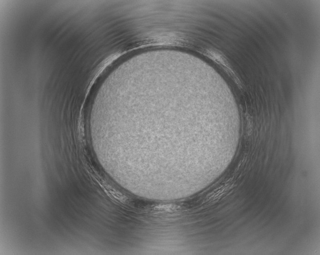 X0000052980883200508051038