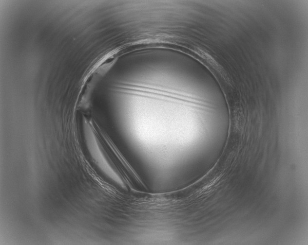 X0000052980885200508051038