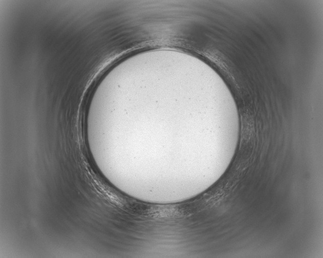 X0000052980886200508051038