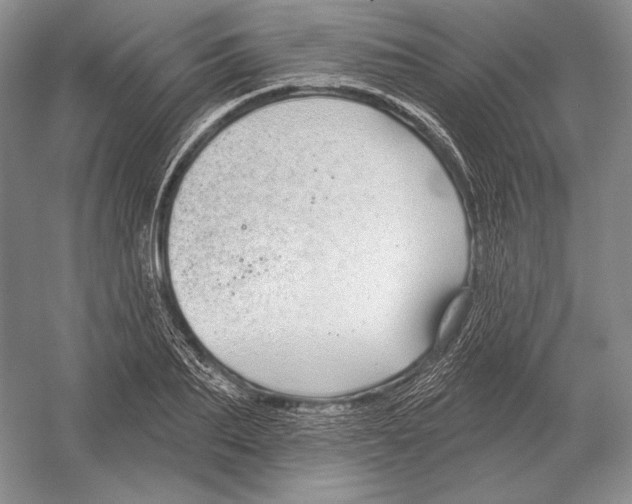 X0000052980887200508051038