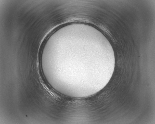 X0000052980888200508051038