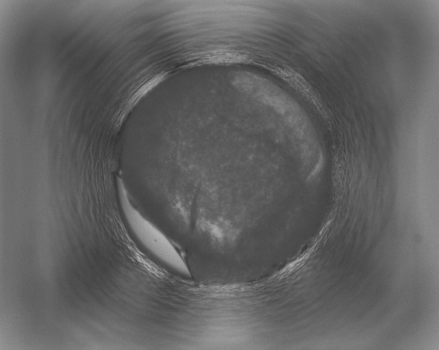 X0000052980889200508051038