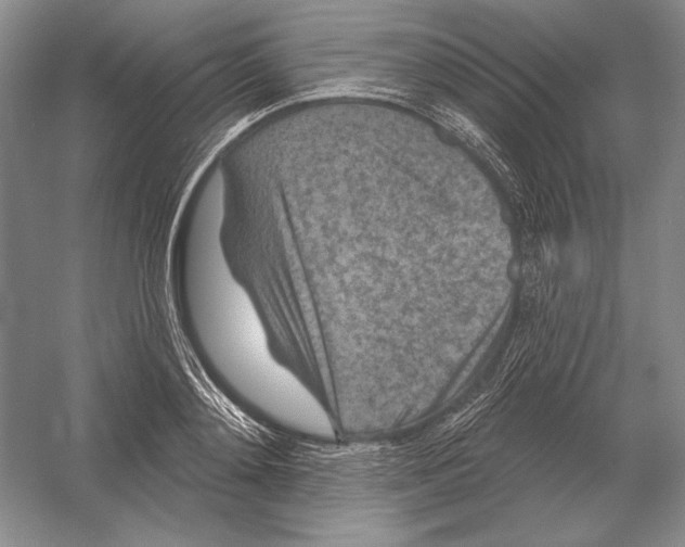 X0000052980892200508051038