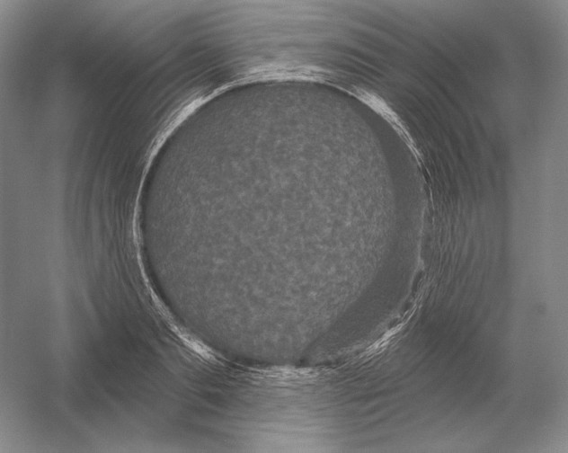 X0000052980893200508051038