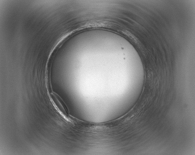 X0000052980894200508051038